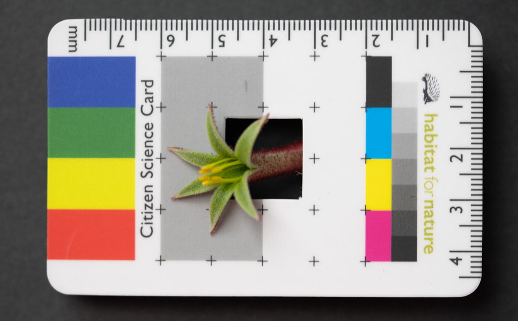 Citizen Science Project Photographic Field Identification Aid Great Gift idea