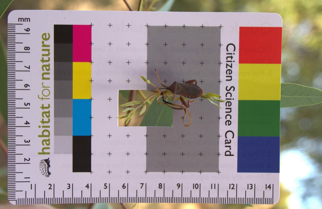 Citizen Science Project Photographic Field Identification Aid Great Gift idea