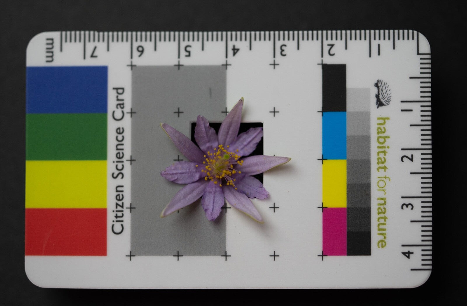 Citizen Science Project Photographic Field Identification Aid Great Gift idea