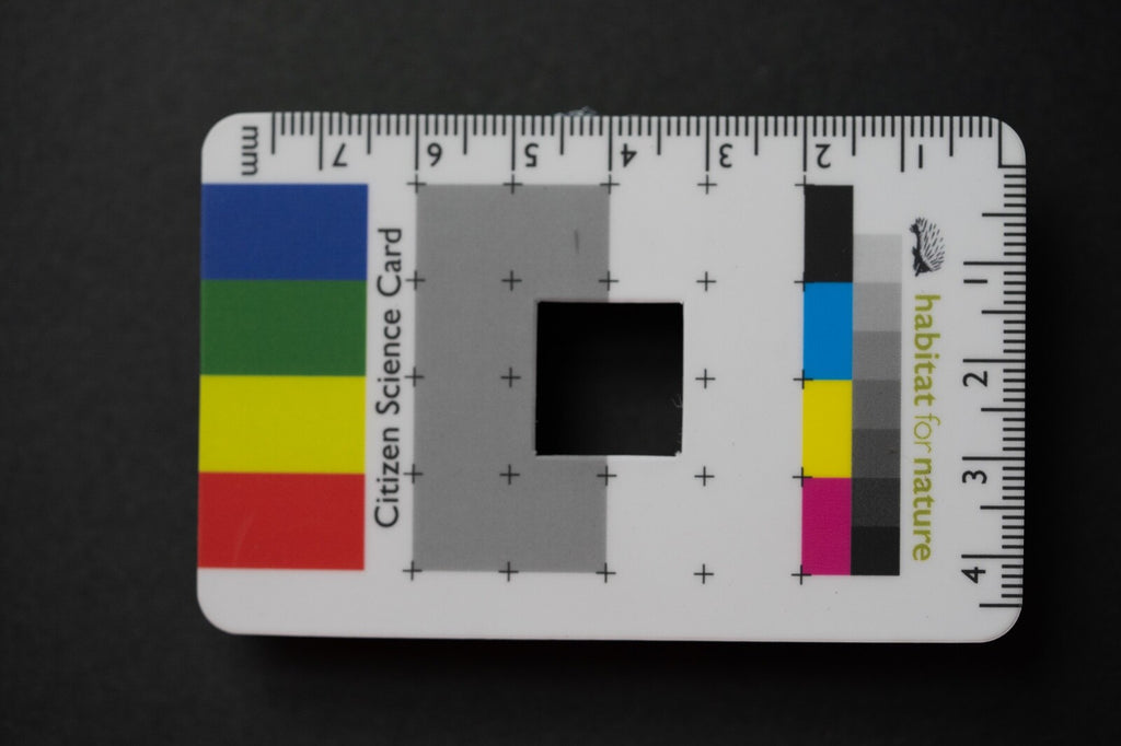Citizen Science Project Photographic Field Identification Aid Great Gift idea
