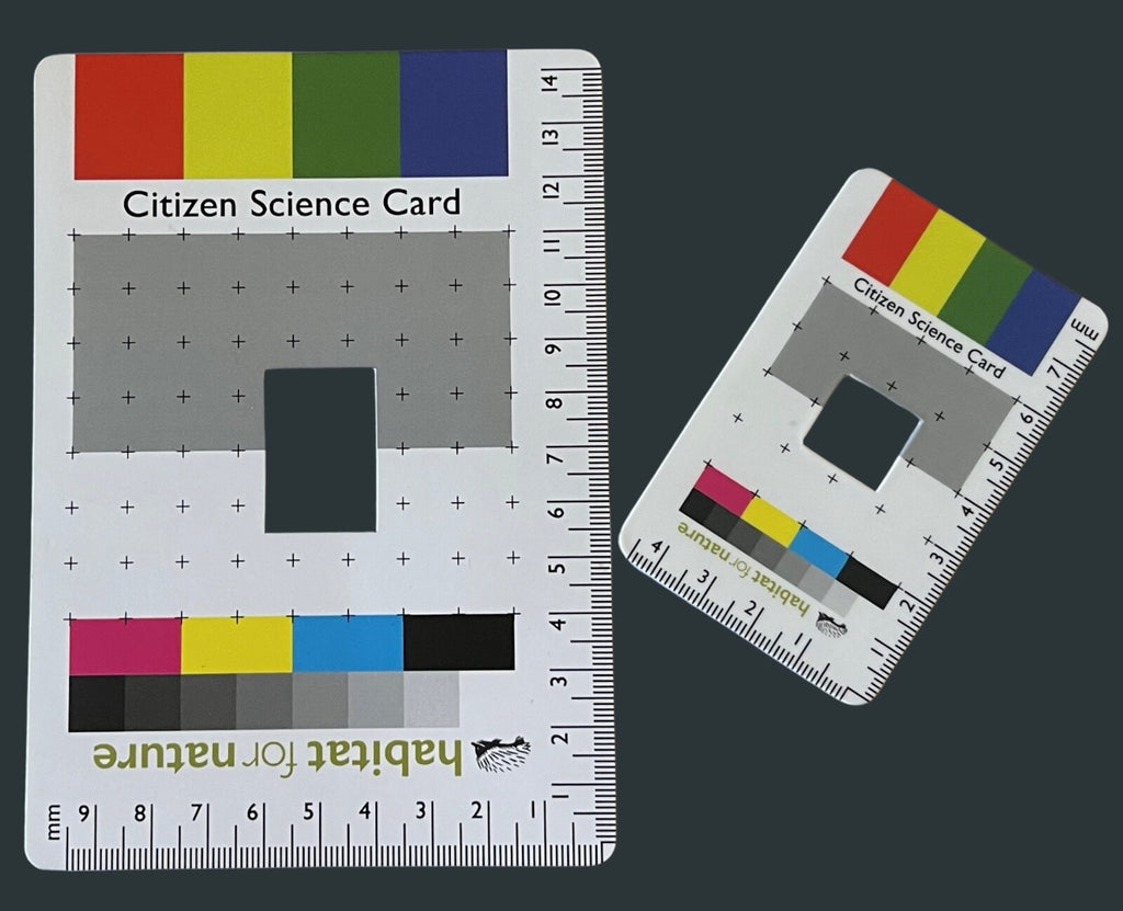 Citizen Science Project Photographic Field Identification Aid Great Gift idea