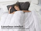 Dreamz Microfiber Quilt Doona Duvet Winter Summer Microfibre 250GSM All Size