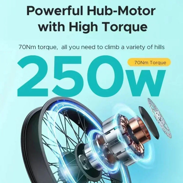 Electric Bike ENGWE E26 250W Motor 48V16AH Lithium Battery City Trip off-road E-Bike 26 inch Tire Mountain snow Electric Bicycle