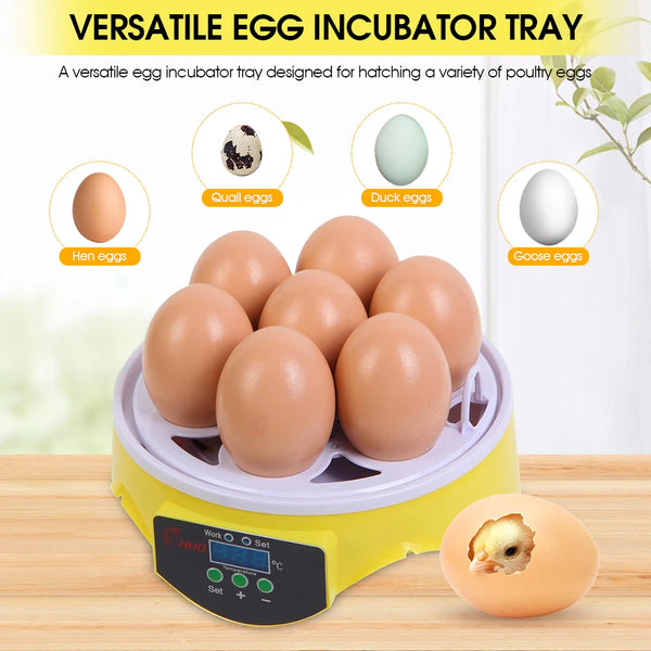 EW-7 CE Marked Hot-Sale Home Use Cheap T Mini Poultry Incubator for Hatching Eggs