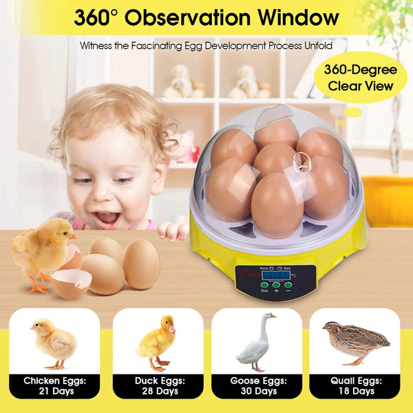 EW-7 CE Marked Hot-Sale Home Use Cheap T Mini Poultry Incubator for Hatching Eggs
