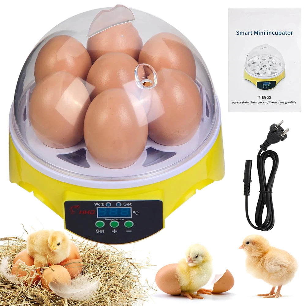 EW-7 CE Marked Hot-Sale Home Use Cheap T Mini Poultry Incubator for Hatching Eggs