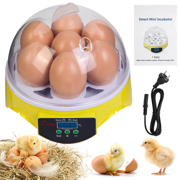 EW-7 CE Marked Hot-Sale Home Use Cheap T Mini Poultry Incubator for Hatching Eggs