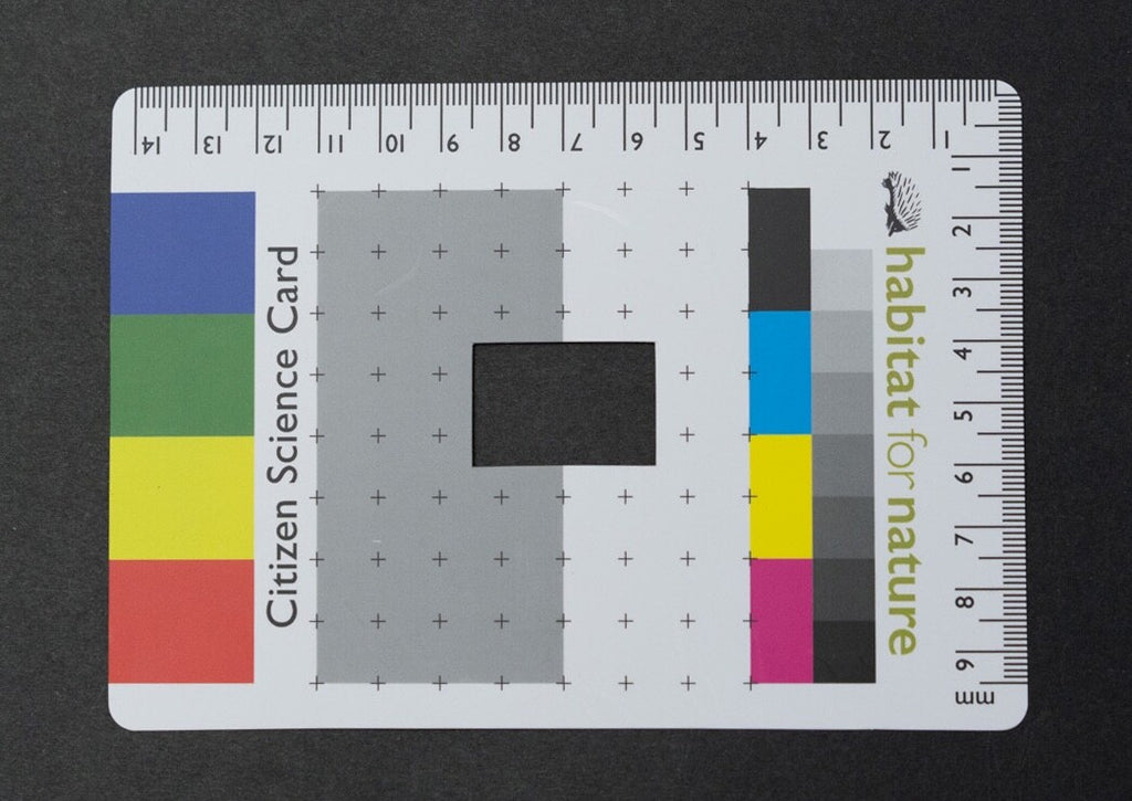 Citizen Science Project Photographic Field Identification Aid Great Gift idea