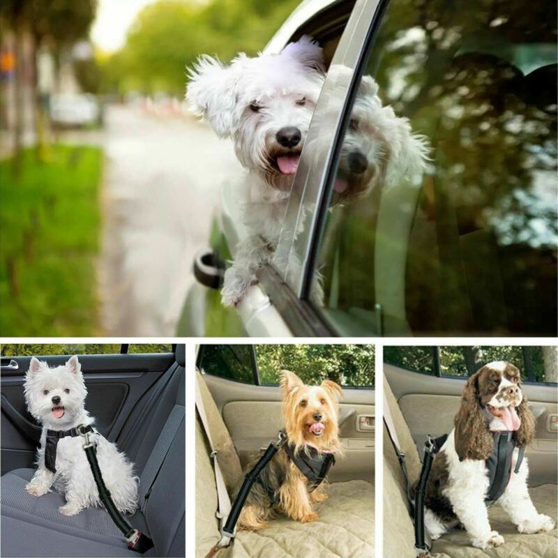 Adjustable Pet Dog Travel SEAT BELT Car Safety Harnesses Lead Restraint Strap US